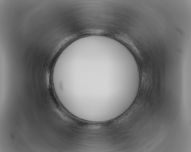 X0000113350110200909151034