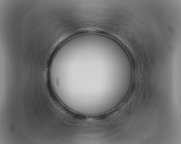 X0000113350111200909151034