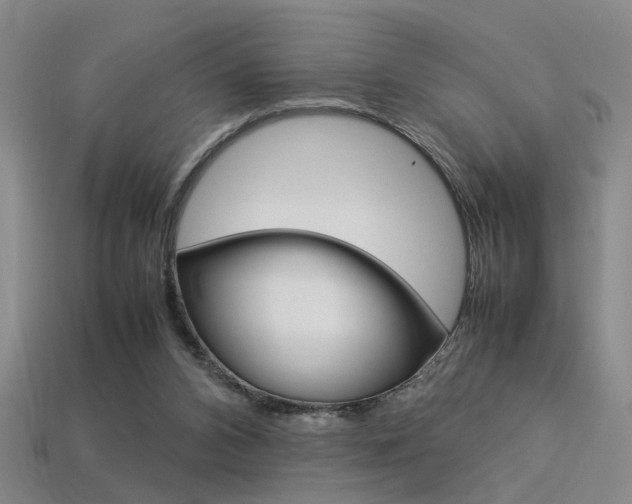 X0000113350112200909151034