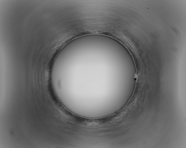 X0000113350113200909151034