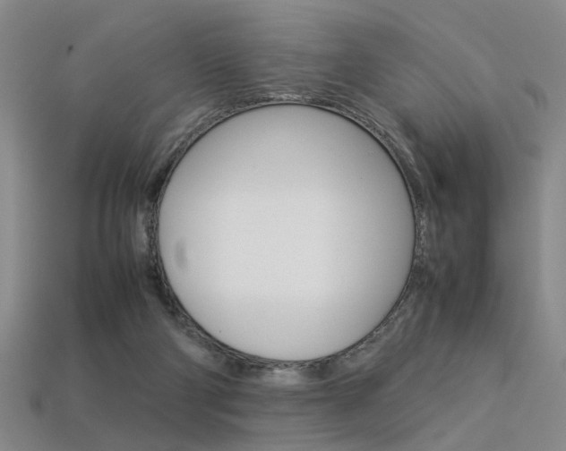 X0000113350114200909151034