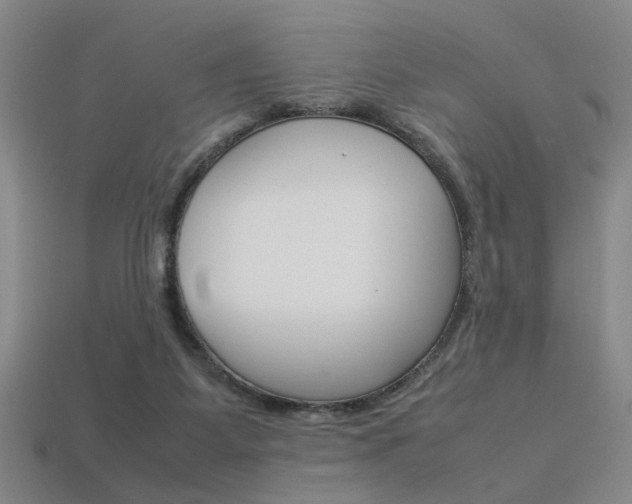 X0000113350115200909151034