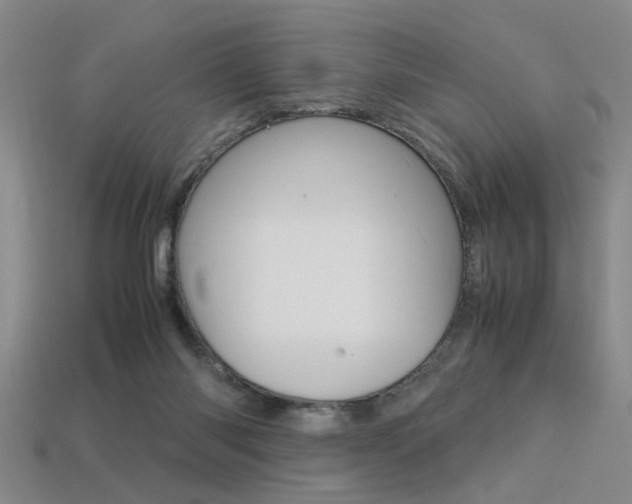 X0000113350118200909151034