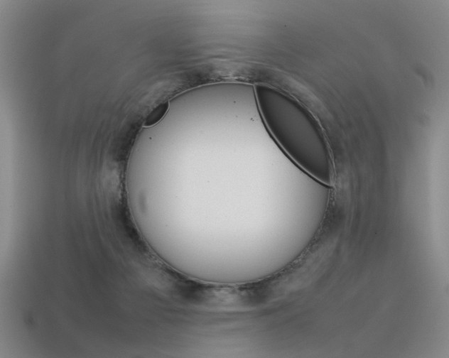 X0000113350121200909151034