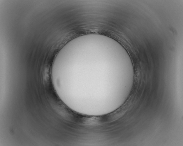 X0000113350122200909151034