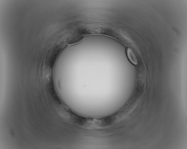 X0000113350125200909151034