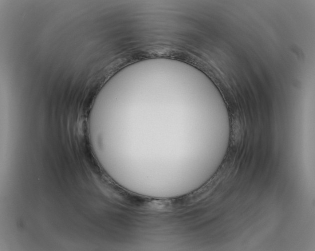 X0000113350126200909151034