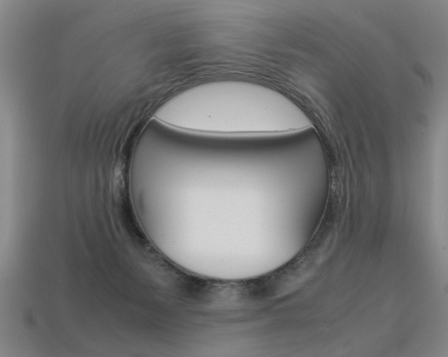 X0000113350127200909151034