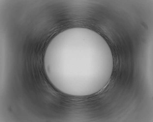X0000113350128200909151034