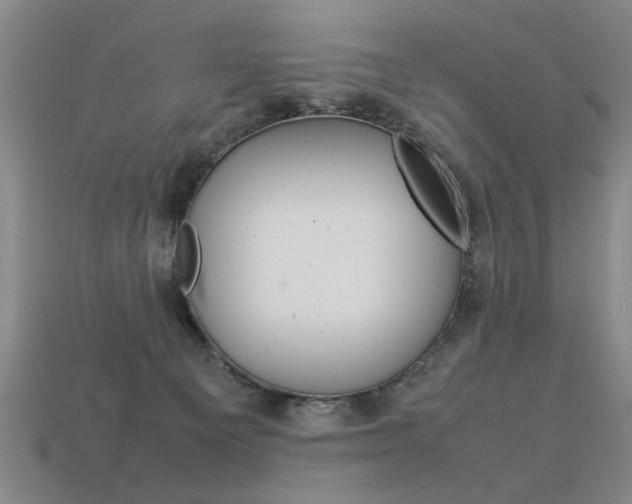 X0000113350129200909151034