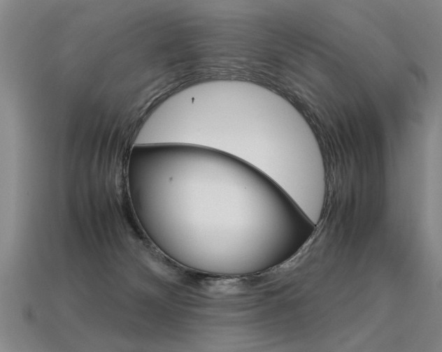 X0000113350132200909151033