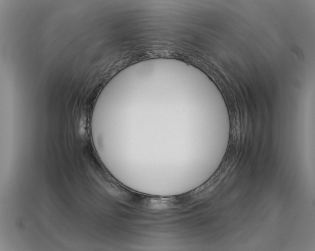 X0000113350134200909151033