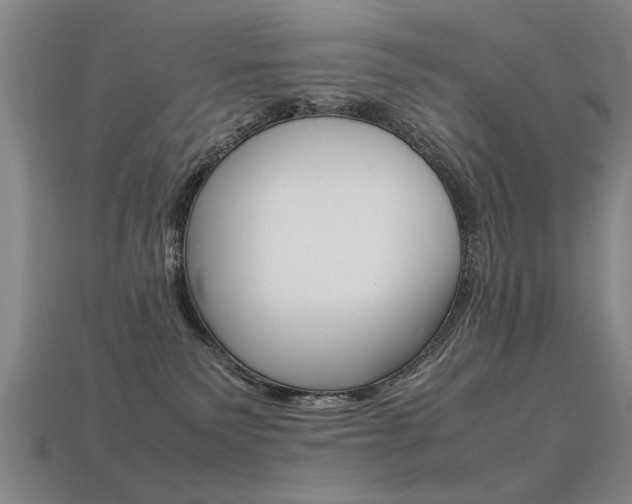 X0000113350135200909151033