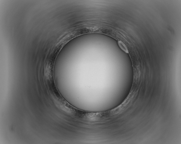 X0000113350136200909151033