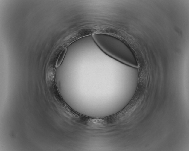 X0000113350137200909151033