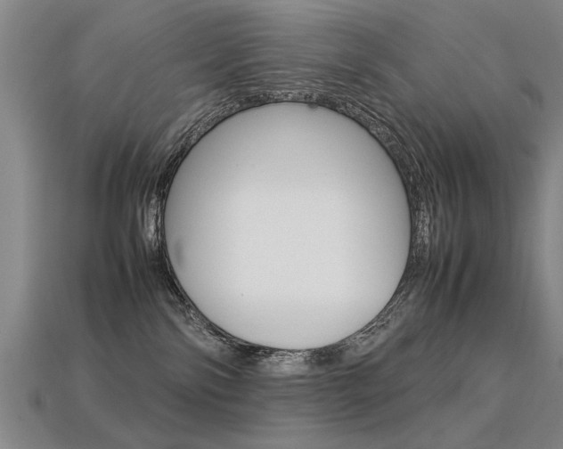 X0000113350138200909151033