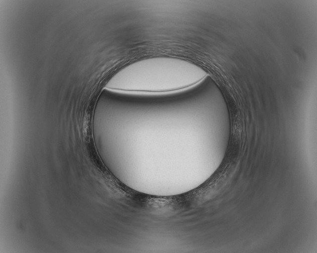 X0000113350139200909151033