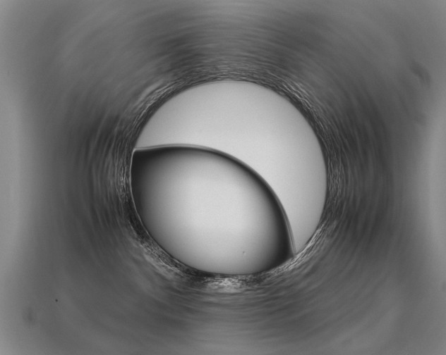 X0000113350140200909151033
