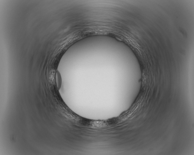 X0000113350141200909151033