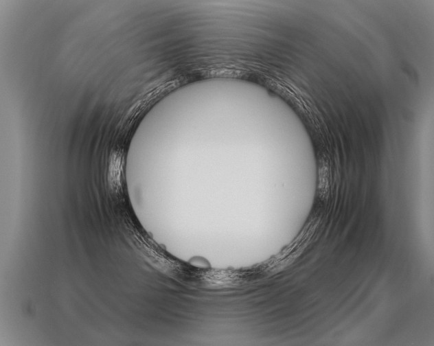 X0000113350142200909151033