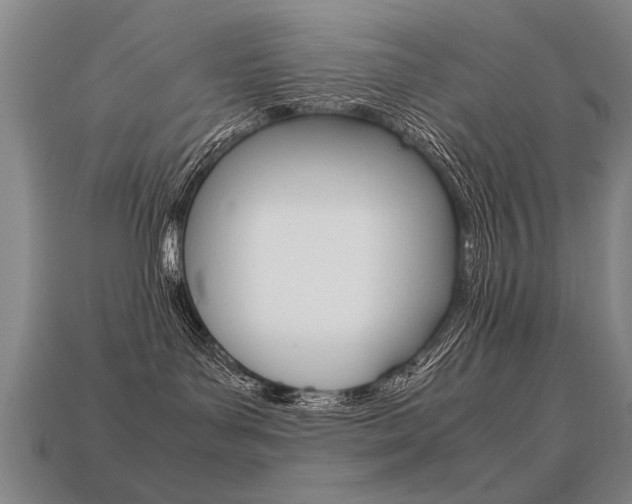 X0000113350143200909151033