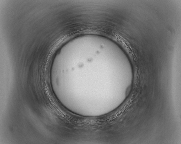 X0000113350145200909151033
