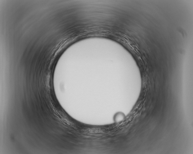 X0000113350146200909151033