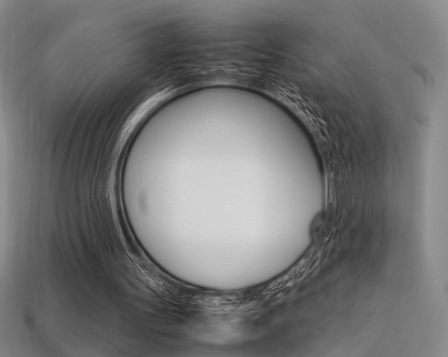X0000113350147200909151033