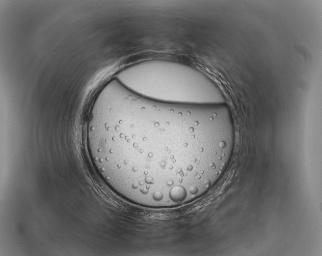 X0000113350149200909151033