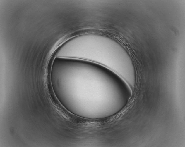 X0000113350150200909151033