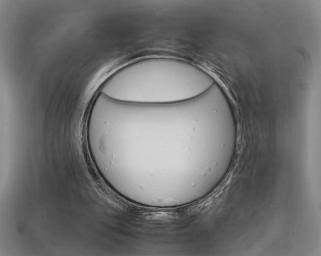X0000113350151200909151033
