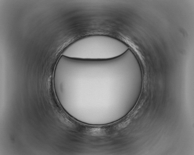 X0000113350153200909151033