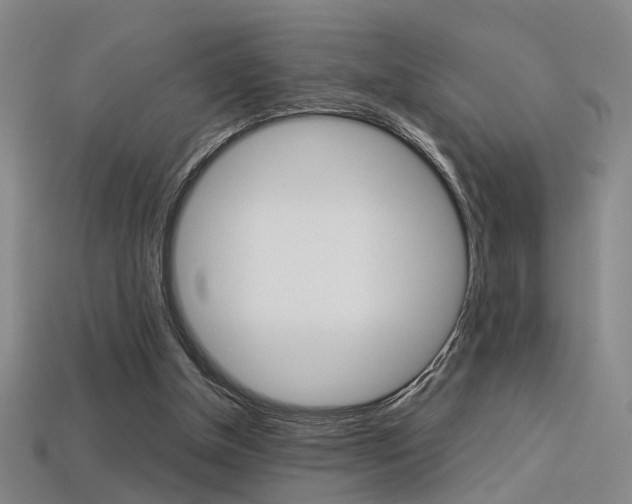 X0000113350154200909151033