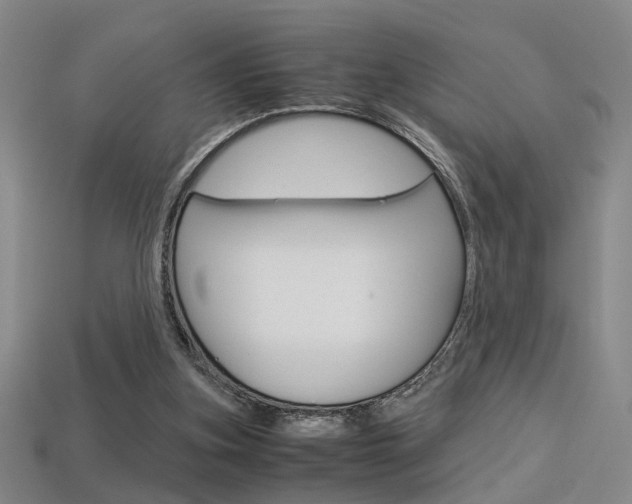 X0000113350155200909151033
