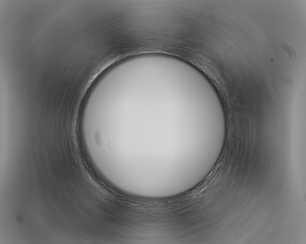 X0000113350156200909151033