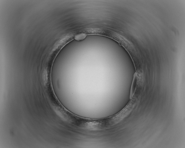 X0000113350158200909151033