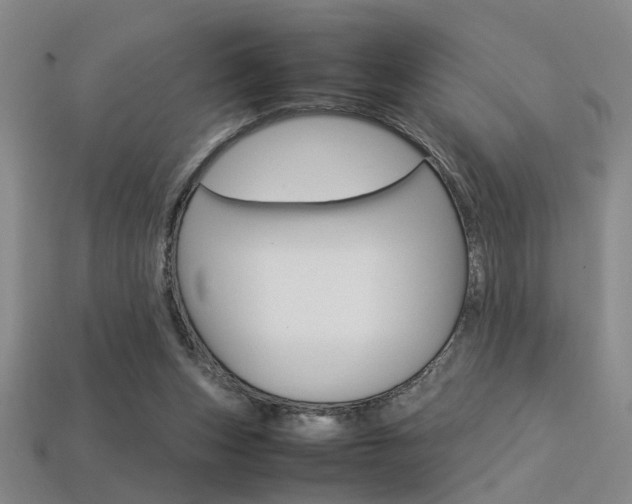 X0000113350159200909151033