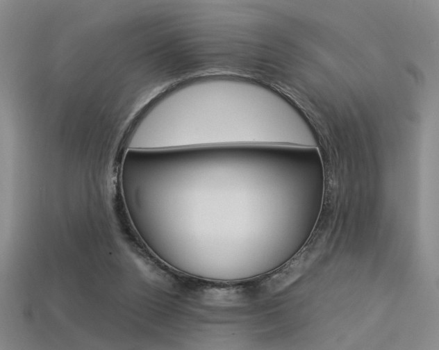 X0000113350160200909151033