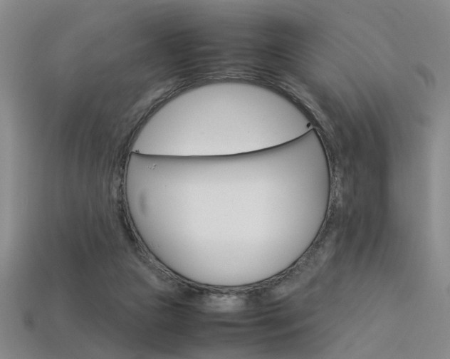X0000113350161200909151033