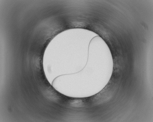 X0000113350162200909151033