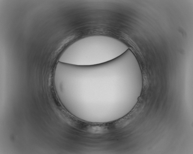 X0000113350163200909151033