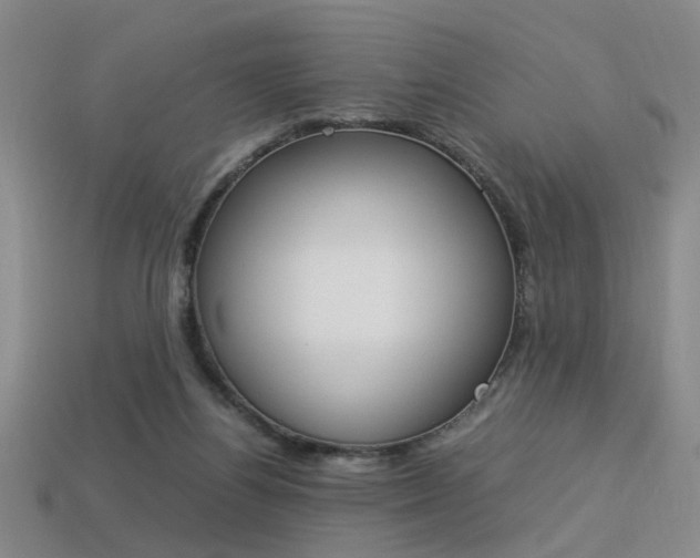X0000113350164200909151033