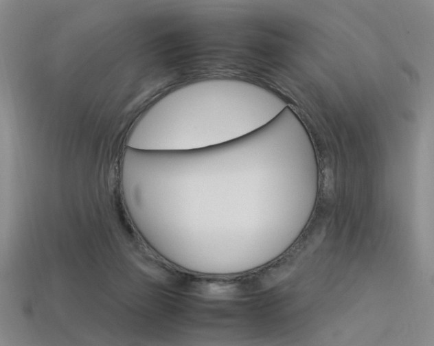 X0000113350165200909151033