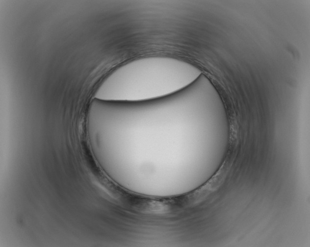 X0000113350166200909151033