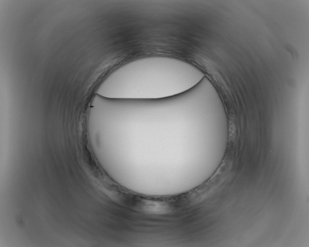 X0000113350167200909151033