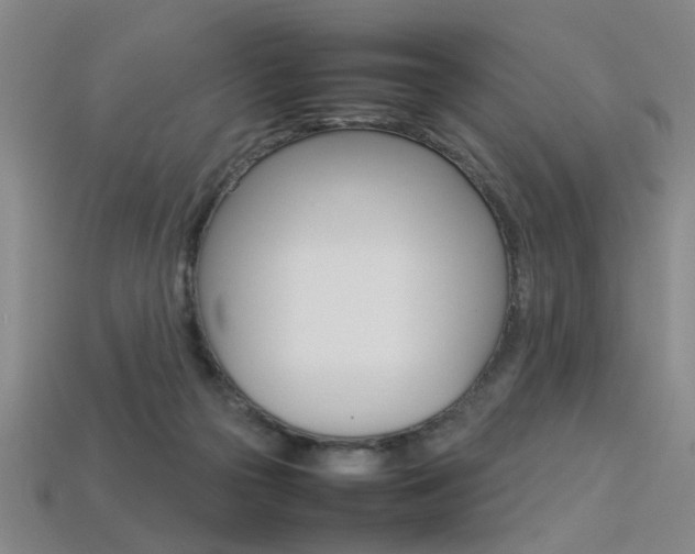 X0000113350169200909151033