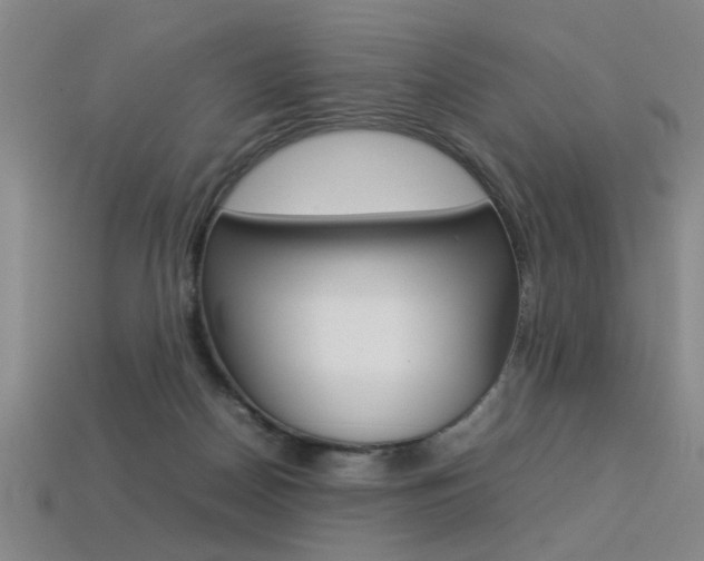 X0000113350170200909151033