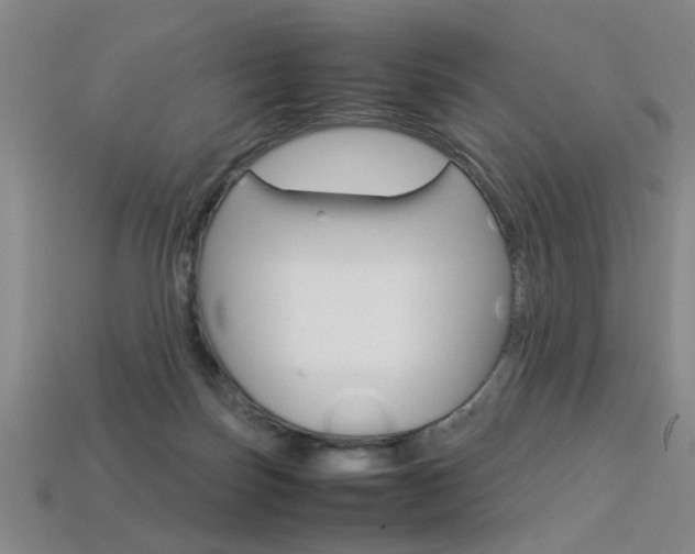 X0000113350171200909151033