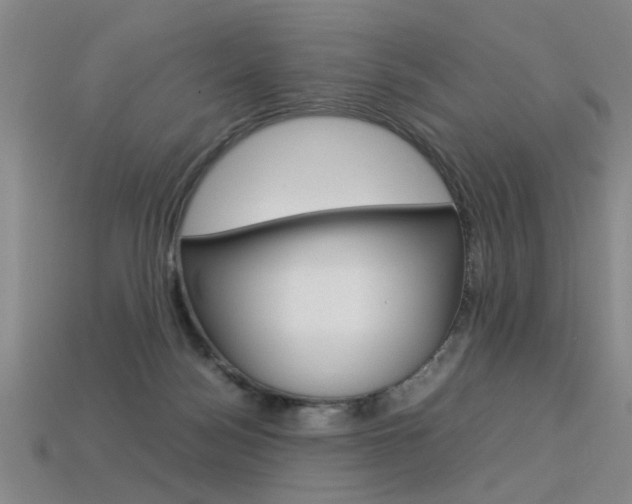 X0000113350172200909151033
