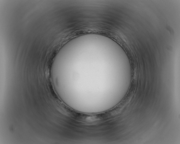 X0000113350173200909151033